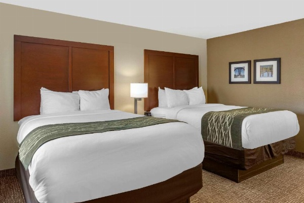Comfort Inn & Suites Aeropuerto de Little Rock image 15
