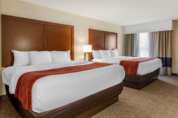 Comfort Inn & Suites Aeropuerto de Little Rock image 7